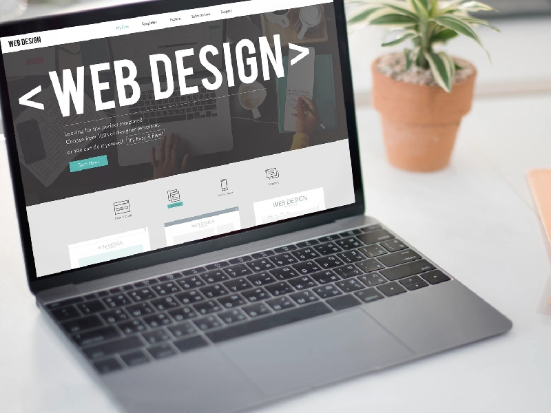 درآمد طراحی سایت