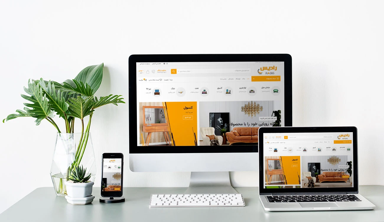 طراحی سایت رادیس مبل
