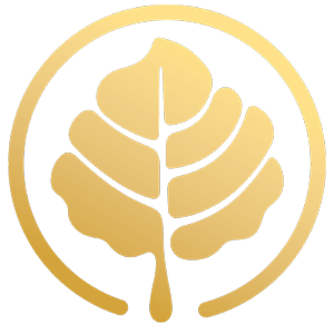 طراحی سایت چند زبانه و بین المللی طراحی سایت چند زبانه و بین المللی