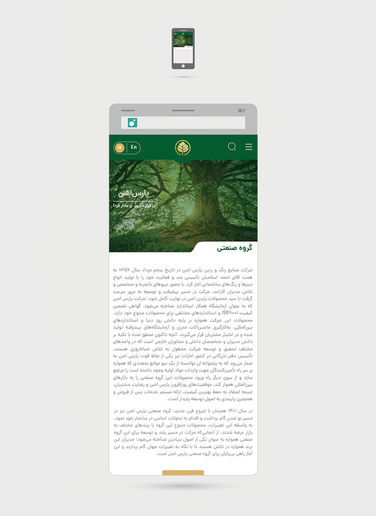 mukup-phone-parseshen