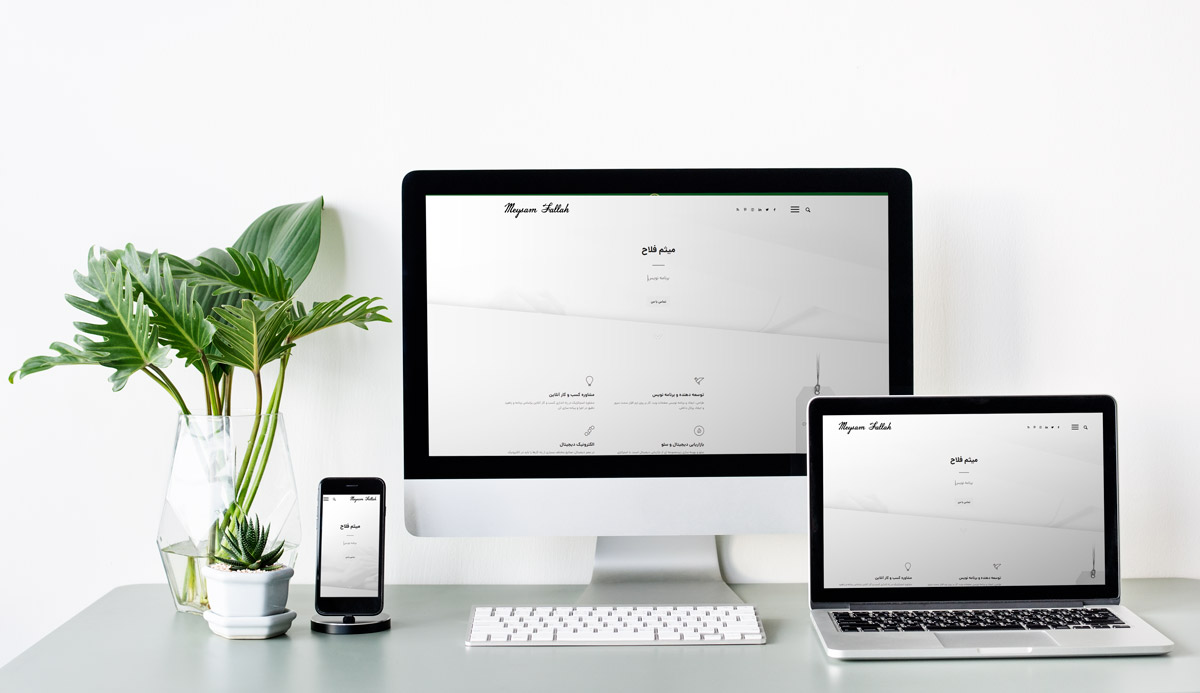 طراحی سایت میثم فلاح