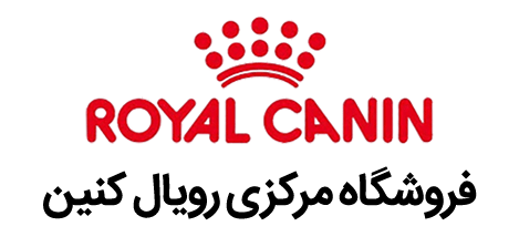 طراحی سایت ساختمانی